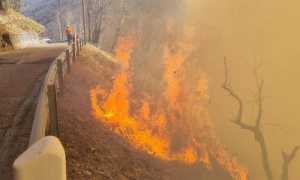 2022 03 24 20 52 1541852