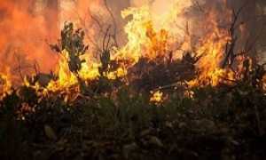 293785382 1753162411711809 8626193516286011193 n