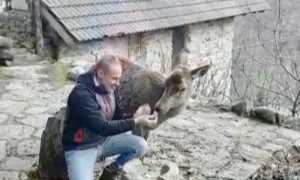 FB8DD2FF 43BB 48CD B5D1 8F34BA2FA7B9