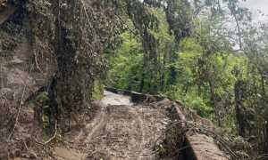 IMAGE 2025 08 28 200305