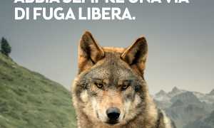 MontagneSicure Messaggi 1080x1080px copia62