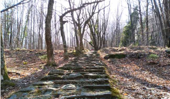 Schermata 2019 03 30 alle 10.09.51