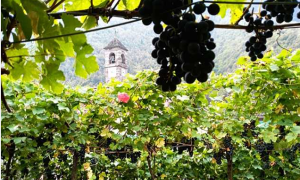 Schermata 2019 05 22 alle 11.58.35