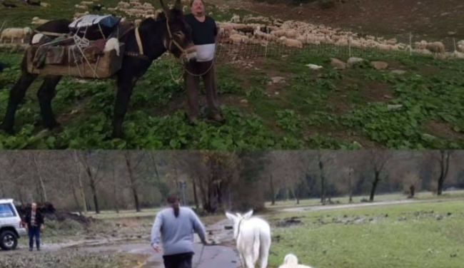 Schermata 2020 10 10 alle 10.43.48