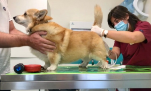 Schermata 2020 12 27 alle 10.59.07