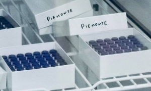 Schermata 2020 12 27 alle 13.36.55