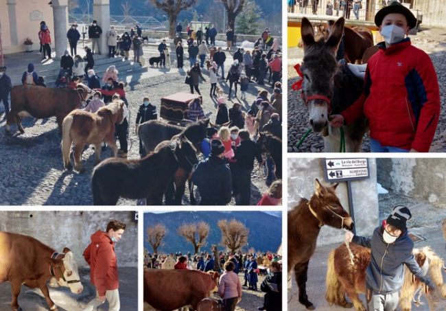 Schermata 2021 01 17 alle 17.07.55