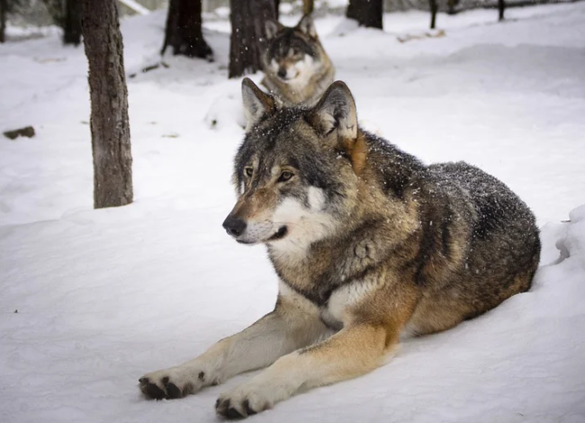 Schermata 2021 02 09 alle 11.54.32