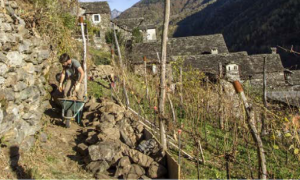 Schermata 2021 04 16 alle 10.28.44