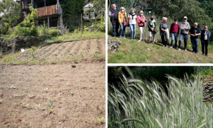 Schermata 2021 05 29 alle 18.29.33