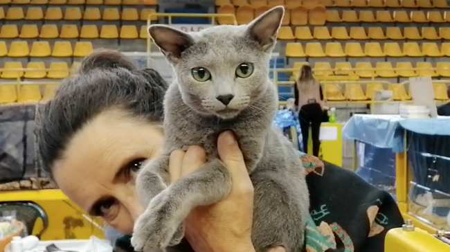 Schermata 2023 10 22 alle 17.58.47