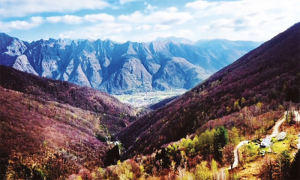 Screenshot 2023 11 05 alle 09.25.20