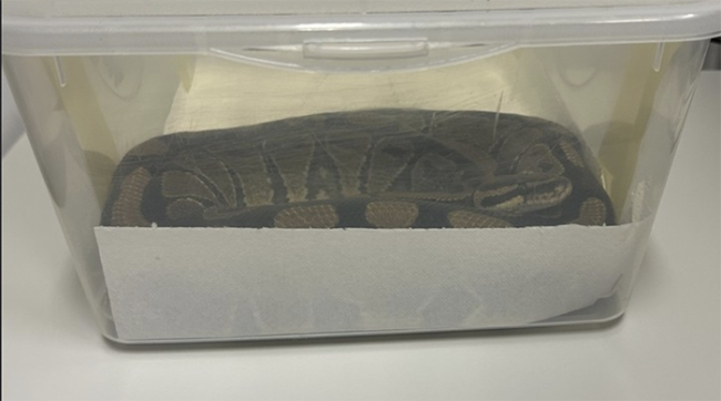 Screenshot 2025 08 29 alle 12.20.42