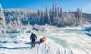 WhatsApp Image 2019 02 14 at 19.31.46