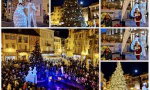 albero natale domo 23