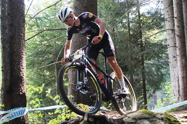 betteo bici curva tronco