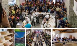 biancolatte crodo mix 18