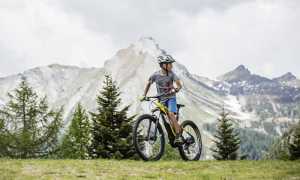 bici vigezzo ragazzo