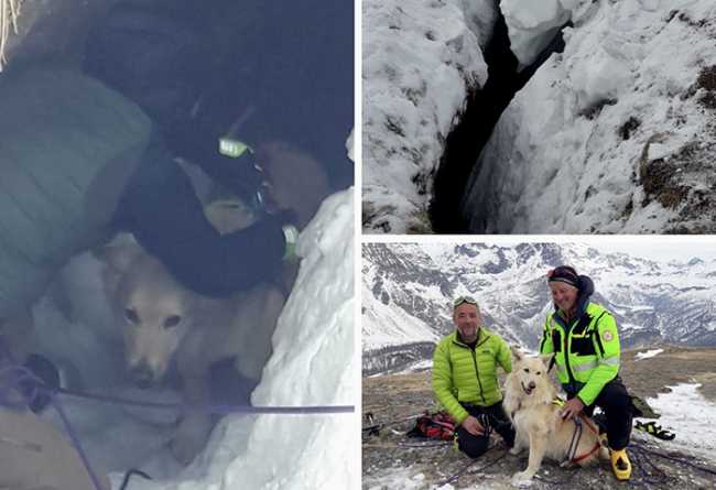 cane anfratto soccorso