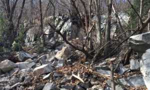 carmine frana cannobio strada