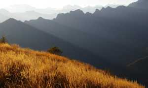 corni di noibbio giancarlo martini