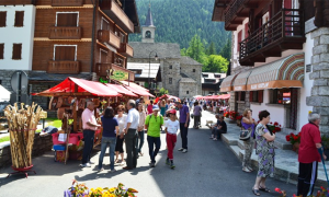 fiera san bernardo macugnaga