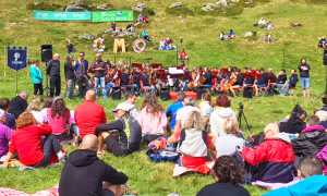 gmo musica quota alpe decia