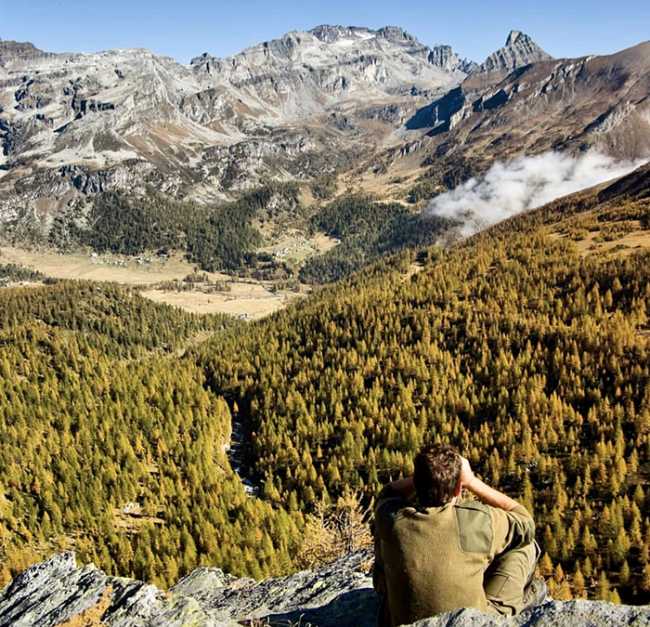 guardiaparco aree ossola incendio