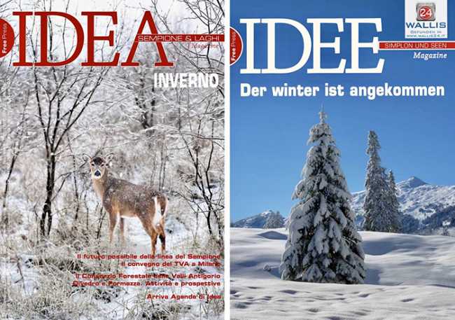idea copertine dicembre 22