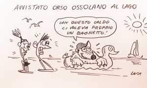 lux orso lago