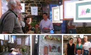 mostra erbe casa podesta 18 mix