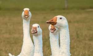 nick fewings xORZNVE6DY0 unsplash