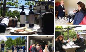 ossola cantina 19 mix