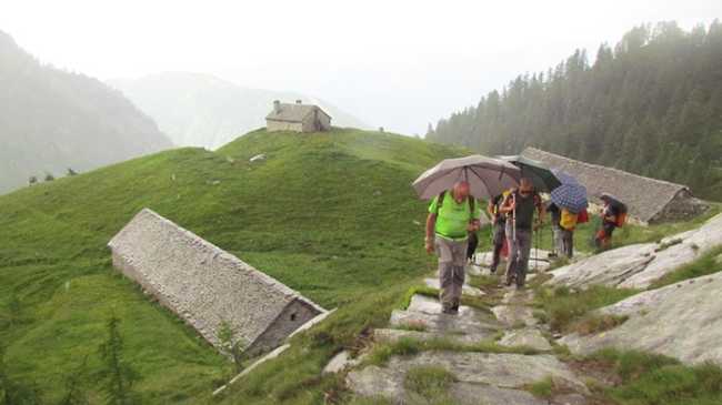 panelatte bocchette vigezzo fabbri