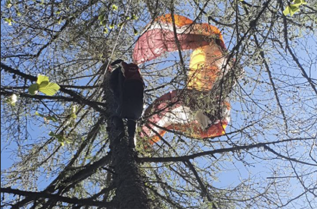parapendio albero lusentino