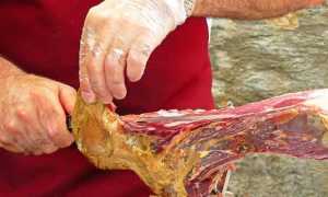 prosciutto osso taglio