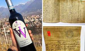 prunent documenti bottiglia mix