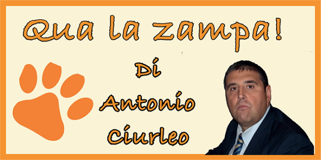 ridotta 700 qua zampa ciurleo rubrica copia