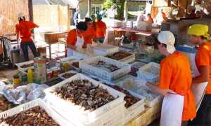 sagra fungo trontano preparazione funghi