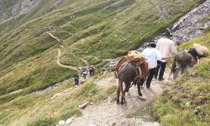 sbrinz route discesa cavalli sentiero