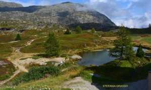 simplon paesaggio stefania grasso