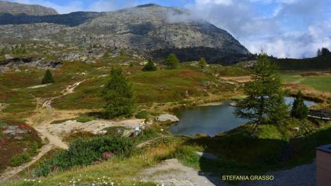 simplon paesaggio stefania grasso