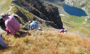 tanzonia devero fabbri