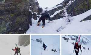 tour monscera 18 mix