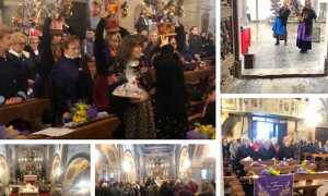 trontano san lenardo 19 mix 