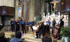 violino scala collegiata