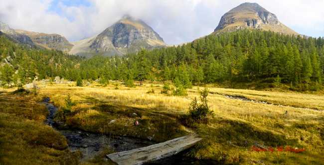 Alpe Veglia rio ph. Maurizio Piazzai