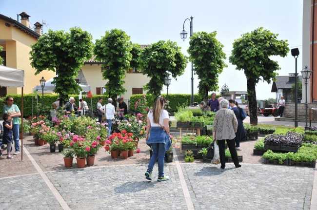 giardinidea gignese 2017