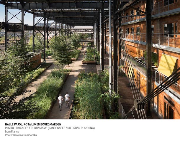 14. HALLE PAJOL ROSA LUXEMBURG GARDEN Ph Karolina Samborski