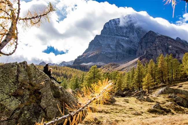 Veglia leone sasso gente